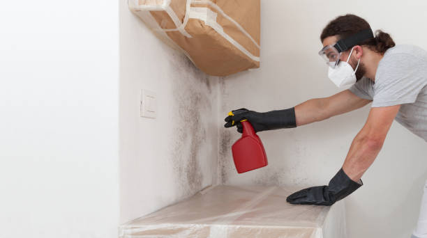 Professional Crawl Space Mold Remediation technician working in Crystal Beach, FL