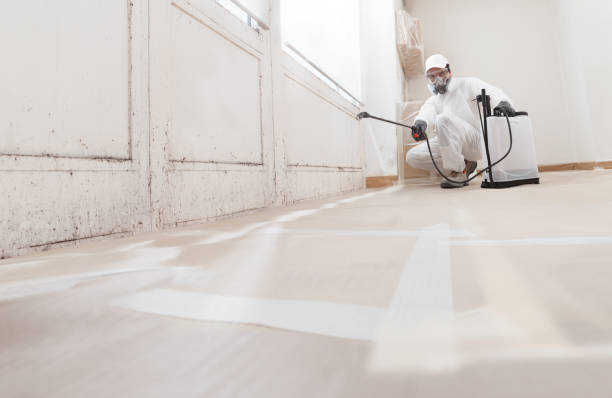 24/7 Emergency Crawl Space Mold Remediation experts in Crystal Beach, FL